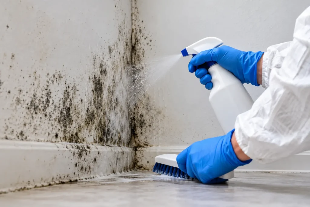 mildew removal winnipeg